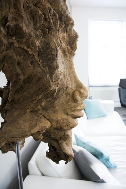Entre Deux Pays Apartments سبا الغرفة الصورة